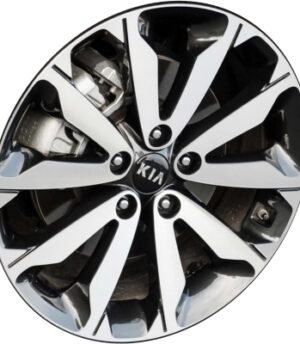 Kia Sportage R18 (52910-D9310)