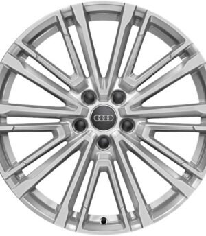 Audi A4 R19 (8W0601025BK)