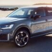 audi-q2-r19-81a601025m-2.jpg