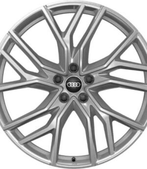 Audi Q4 E-tron R21 (89A601025H, 89A601025T)