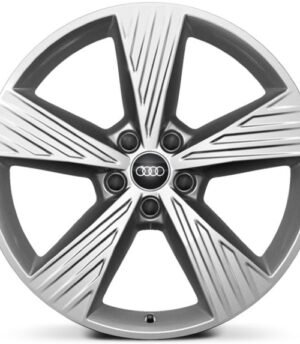 Audi Q4 E-tron R19 (89A601025B)