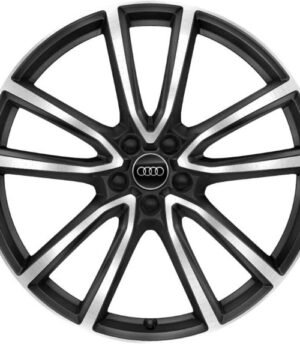 Audi Q5 R21 (80A071491 LT7)