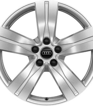Audi Q7 R18 (4M0601025A)