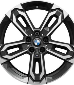 BMW iX2 R19 (36116898051)