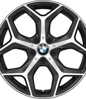 BMW X1 R18 (36116856070)