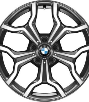 BMW X1 R19 (36108009759)
