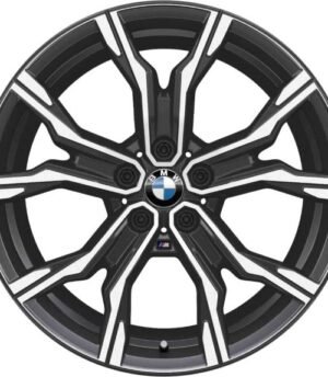 BMW X1 R19 (36108092163)