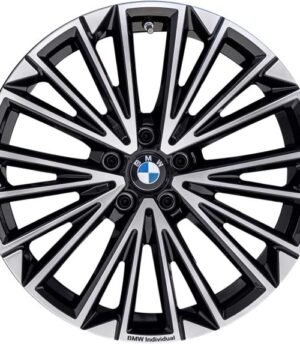 BMW X1 R19 (36116891180)