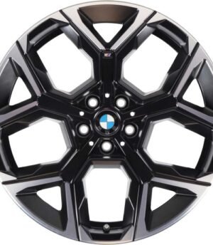 BMW X1 R20 (36116898052)