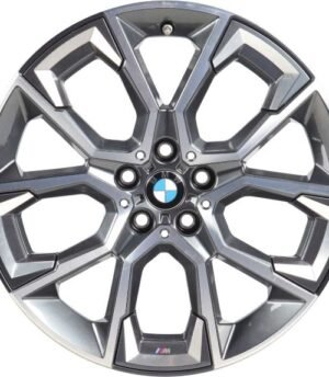 BMW X2 R19 (36106896093)