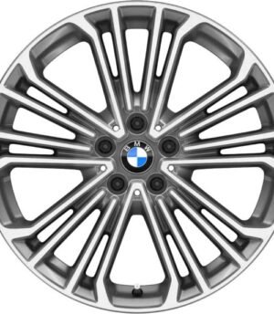 BMW X4 R19 (36116877331)