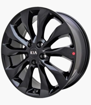 Kia Sorento R19 (C5529-AP000)