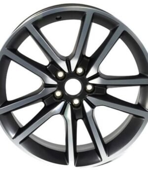 Dodge Charger R20 (6TE801ALAA Gr)