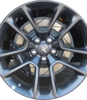 Dodge Charger R20 (6TE82MALAA Gr)