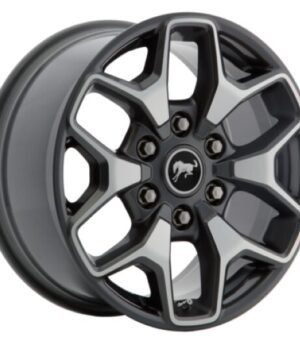 Ford Bronco R17 (5864408, M2DC1007N1A, M2DZ1007N)