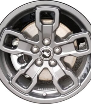 Ford Bronco Sport R17 (M1Pz1007A)