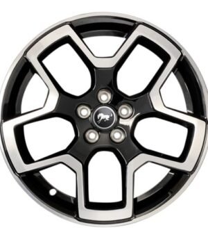 Ford Bronco Sport R18 (M1PZ1007F)