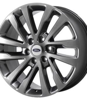 Ford Expedition R20 (JL1Z1007G)