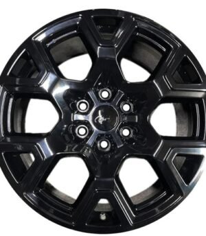 Ford F-150 R20 (RL341007HAA)