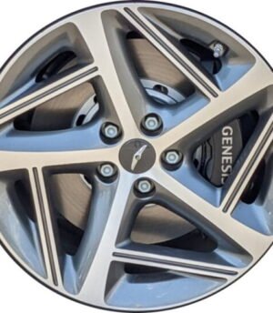 Genesis G80 (R19) - 52910-T1280, 52914-T1290