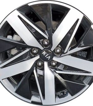 Kia Sorento R18 (52910-P2250)