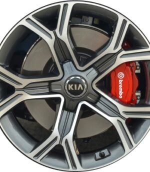 Kia Stinger R19 (52910-J5210, 52910-J5260)