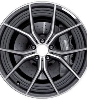 Mercedes AMG GT 4 R21 (A2904000000, A2904000200)