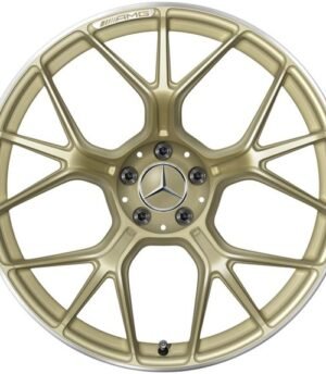 Mercedes AMG GT R21 (A19240113001X71, A19240114001X71)