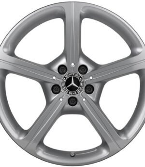 Mercedes CLS R19 (A25740110007X45, A25740111007X45)