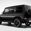 mercedes-g-class-r20-a46340139007x72-2.jpg