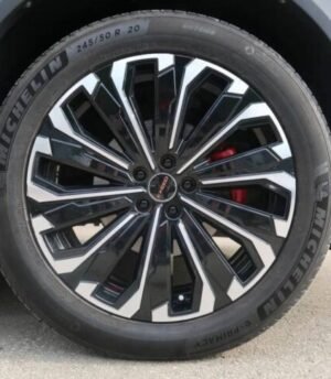 Exeed RX (R20) - 203000851AA