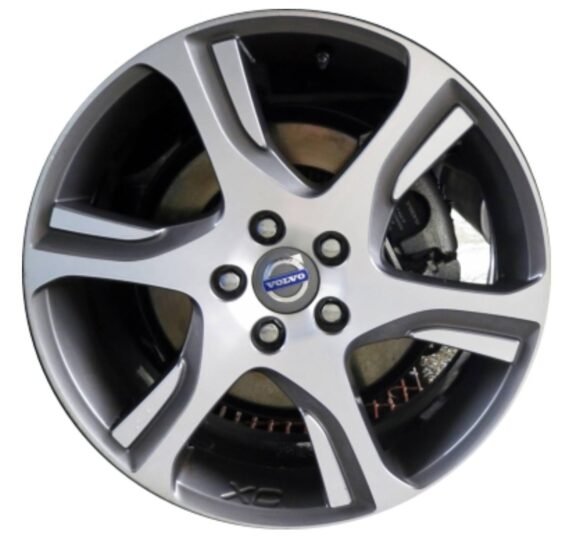 photo_2025-06-30_14-14-31-e1751282208898.jpg photo_2025-06-30_14-14-31-e1751282208898.jpg