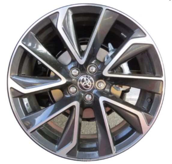 photo_2025-07-09_04-15-44-e1752023808205.jpg photo_2025-07-09_04-15-44-e1752023808205.jpg