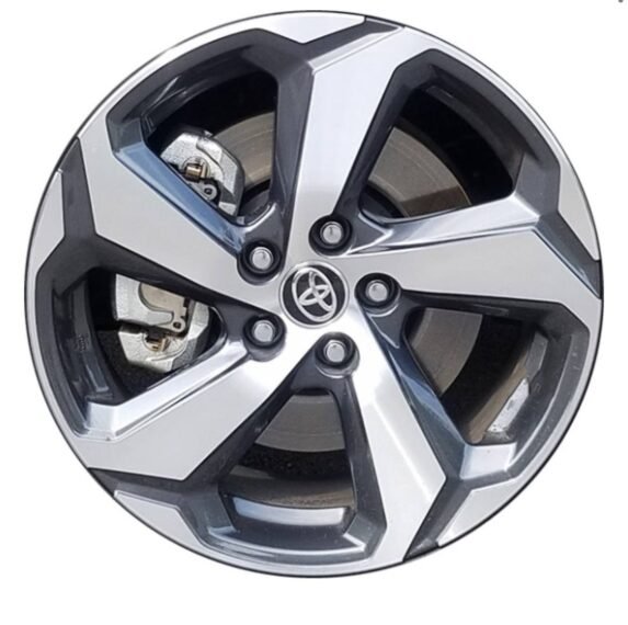 photo_2025-07-13_04-14-06-e1752369327360.jpg photo_2025-07-13_04-14-06-e1752369327360.jpg