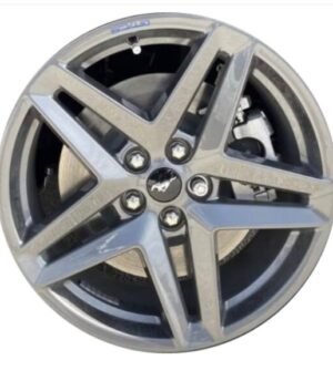 Ford Mustang R19 (PR3Z-1007-M)