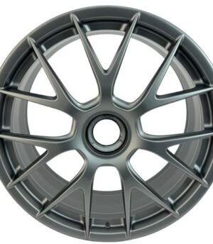 Porsche 718 Boxster R20 (9GT601025F Gr, 9GT601025G Gr)