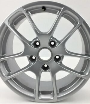 Porsche 718 Cayman R18 (981362120048Z8, 982601025Q8Z8)