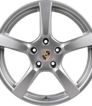 Porsche 718 Cayman R19 (982601025B 88Z, 982601025C 88Z)