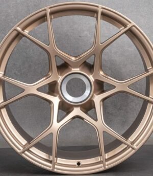 Porsche 718 Cayman R20 (9GT601025D Gl, 9GT601025E Gl)