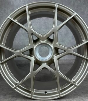 Porsche 718 Cayman R20 (9GT601025D Gs, 9GT601025E Gs)