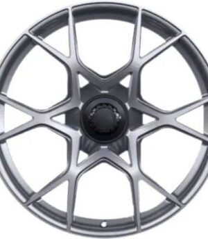 Porsche 718 Cayman R20 (9GT601025D S, 9GT601025E S)