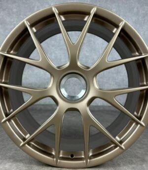 Porsche 718 Cayman R20 (9GT601025F Gl, 9GT601025G Gl)