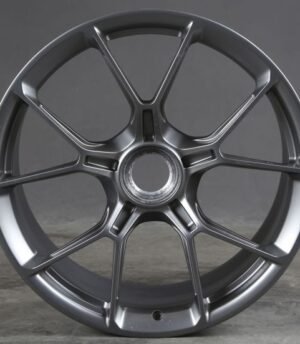 Porsche 911 GT3 R20 R21 (9GT601025Q 8Z8, 9GT601025R 8Z8)