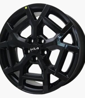 Kia Carnival R19 (R0529-APZA0)