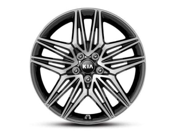 wmremove-transformed-e1753123775456.jpeg wmremove-transformed-e1753123775456.jpeg