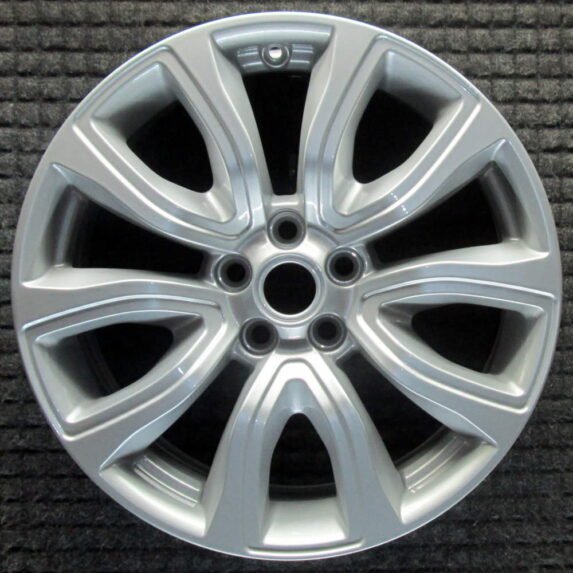 zq283_7424-e1765547274859.jpg zq283_7424-e1765547274859.jpg